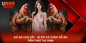 Đá gà cựa sắt u888
