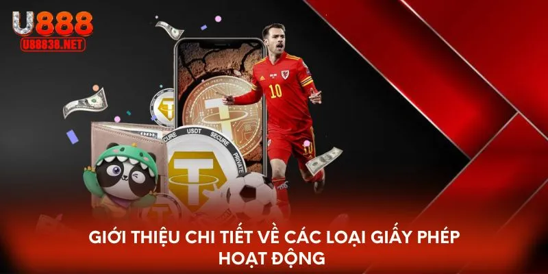 Giới thiệu chi tiết về các loại giấy phép hoạt động 