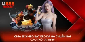 Mẹo đá gà online u888